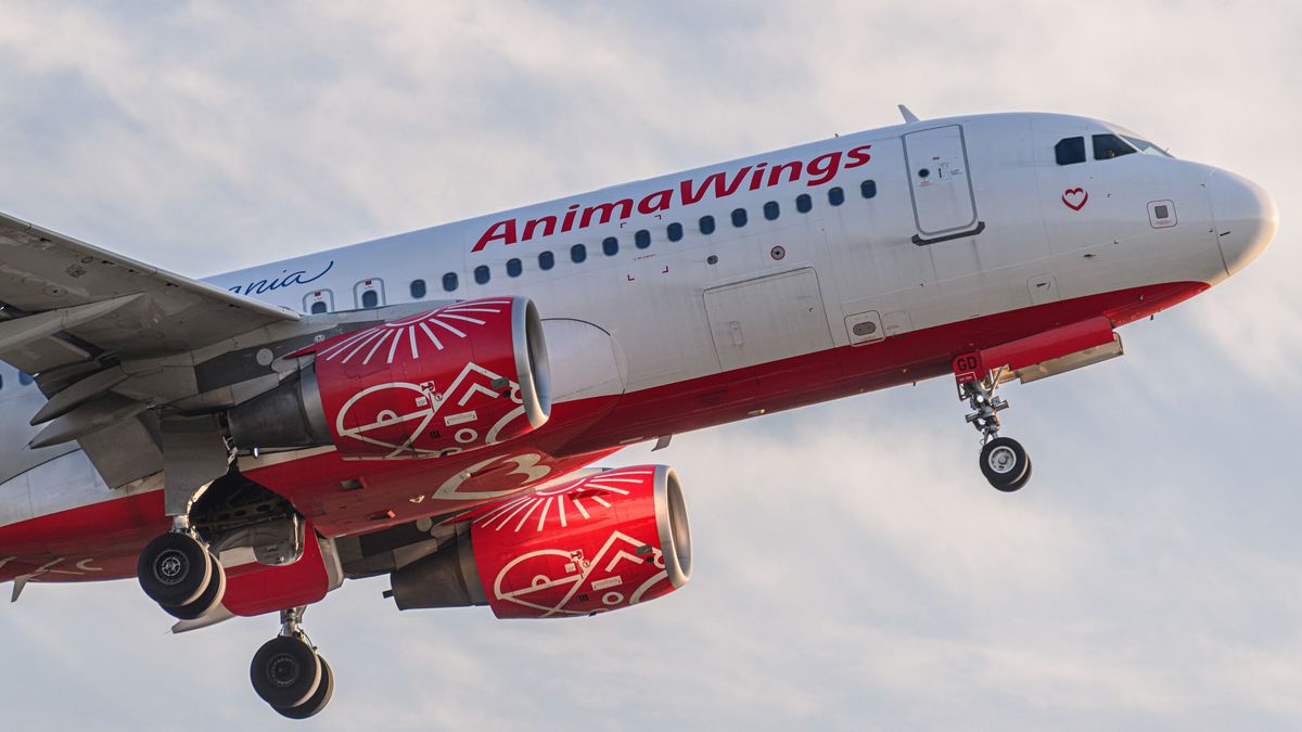 Az AnimaWings reorganizációt kért a bukaresti bíróságtól