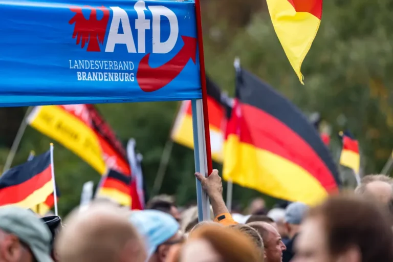 Lemondott az AfD ifjúsági tagozatának vezetője a botrányos térkép miatt
